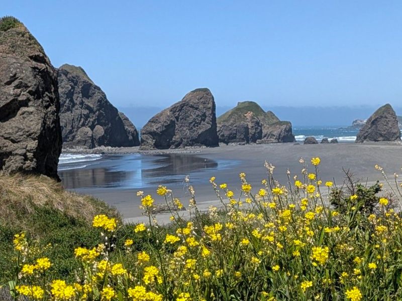 Brookings to Coos&nbsp;Bay