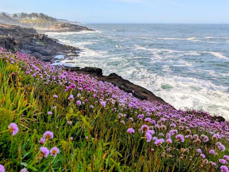 Depoe Bay to&nbsp;&nbsp;Portland