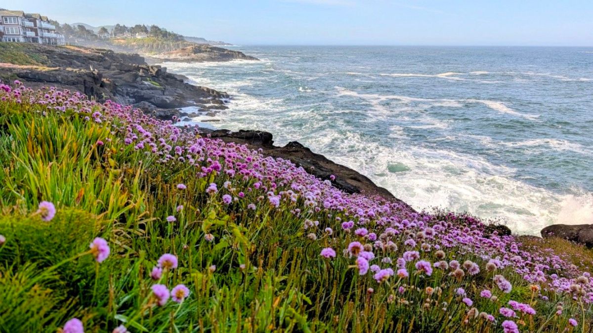 Depoe Bay to&nbsp;&nbsp;Portland