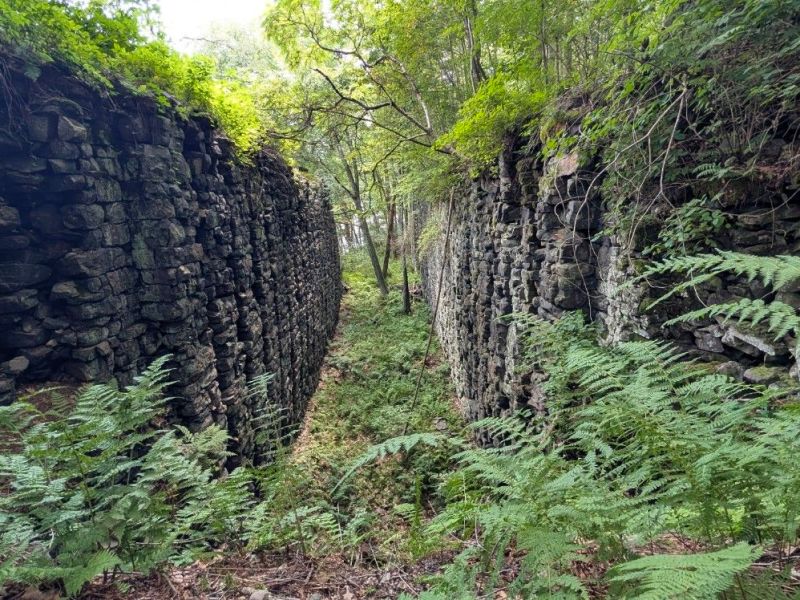 Hickory run State&nbsp;Park